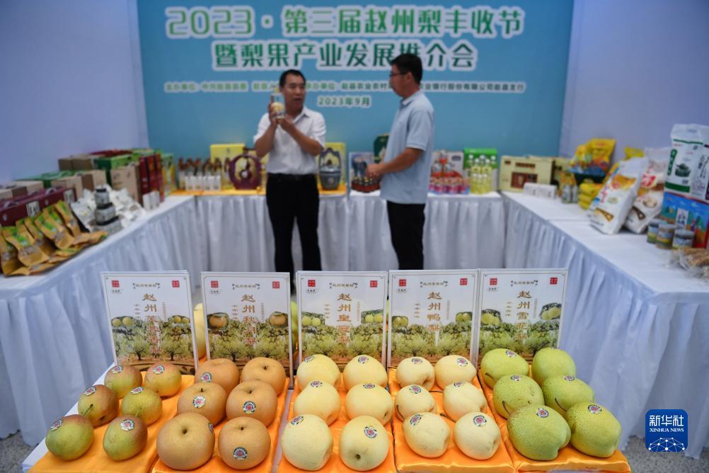 澳门平台是干嘛的